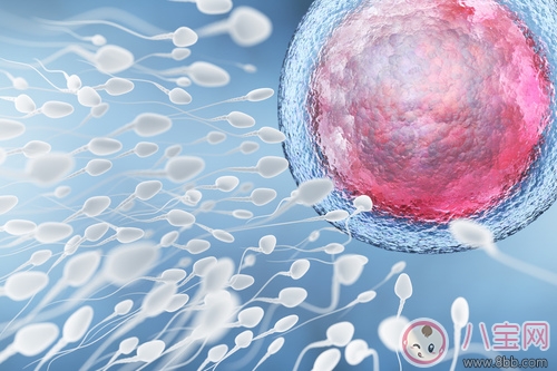 自测排卵的方法有哪些 促进排卵药的危害是什么