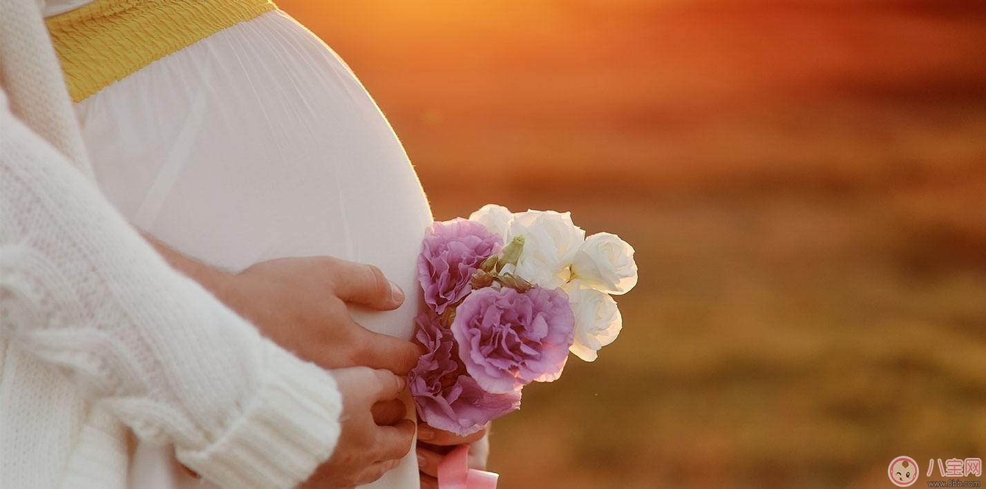 孕期可以插花胎教吗 孕妇什么时候连插花胎教