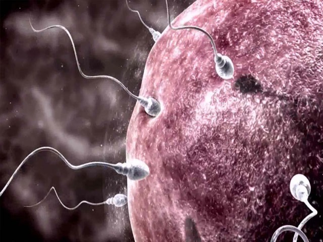 精子在女性体内存活时间是多久？ 精子存活时间